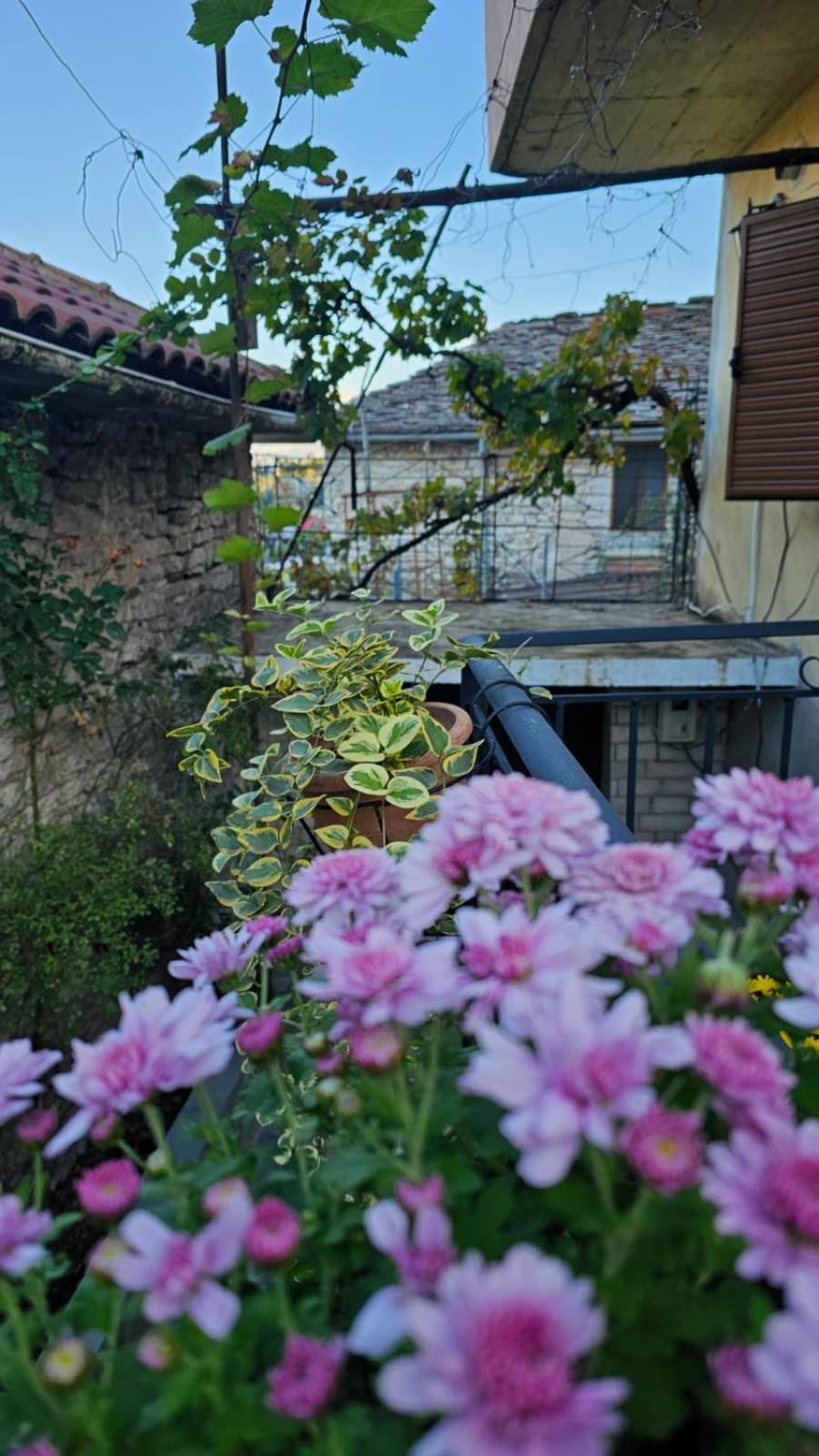 Luigi Guest House ジロカストラ エクステリア 写真